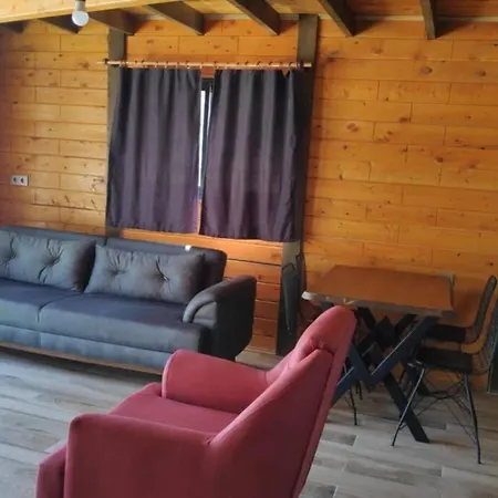 Ayada